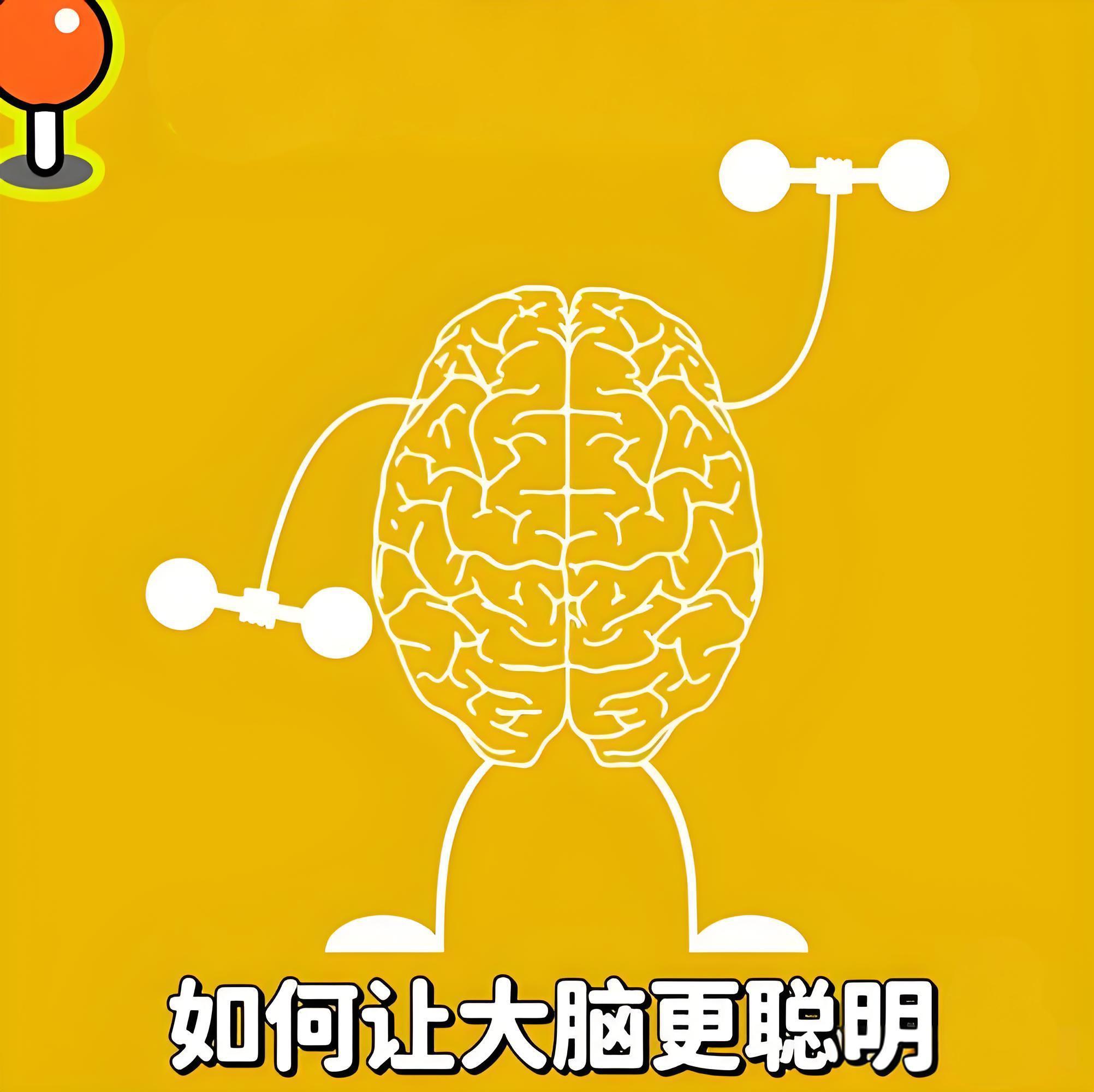 每天锻炼大脑的让它更加灵活